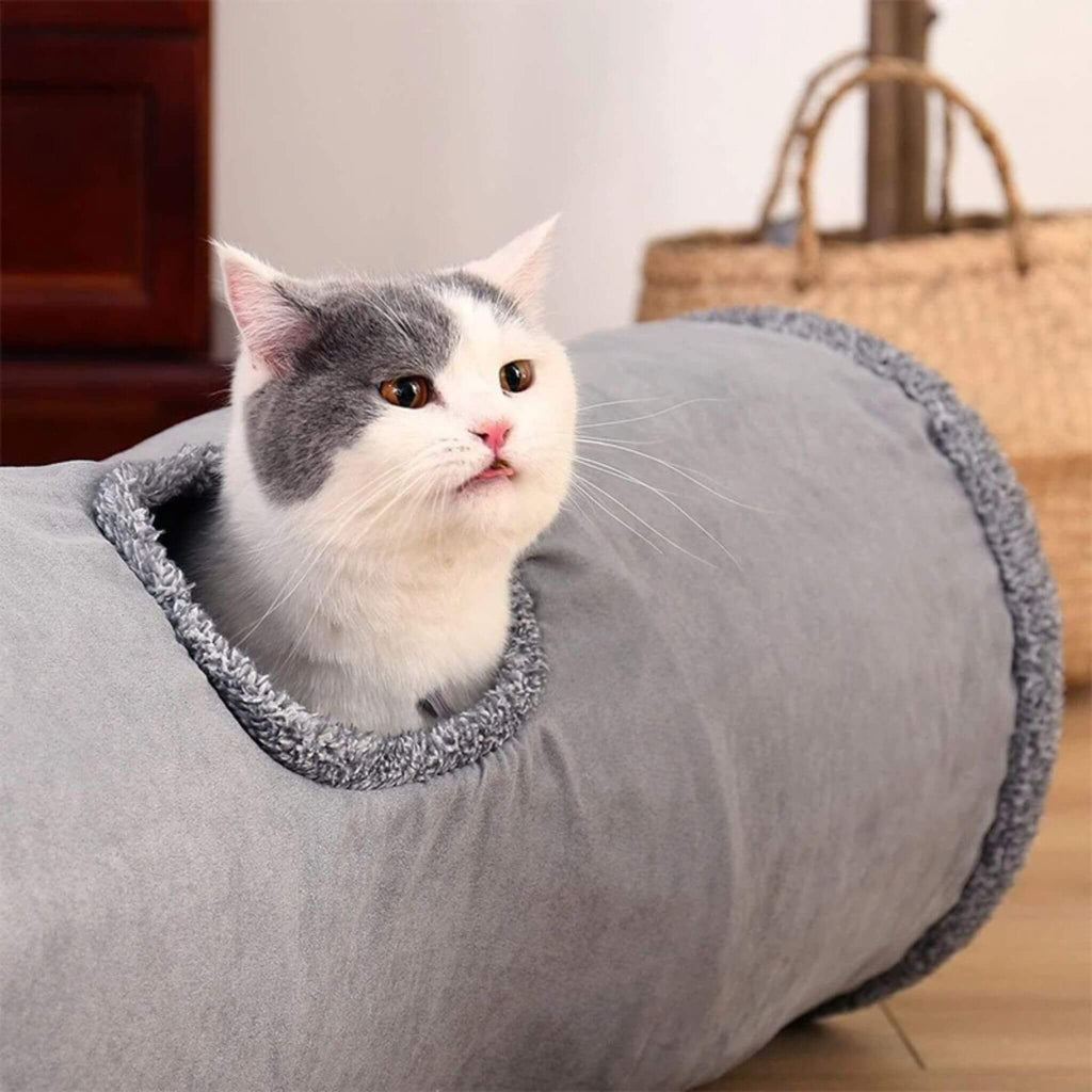 tunnel chat | La Piste des Pattes