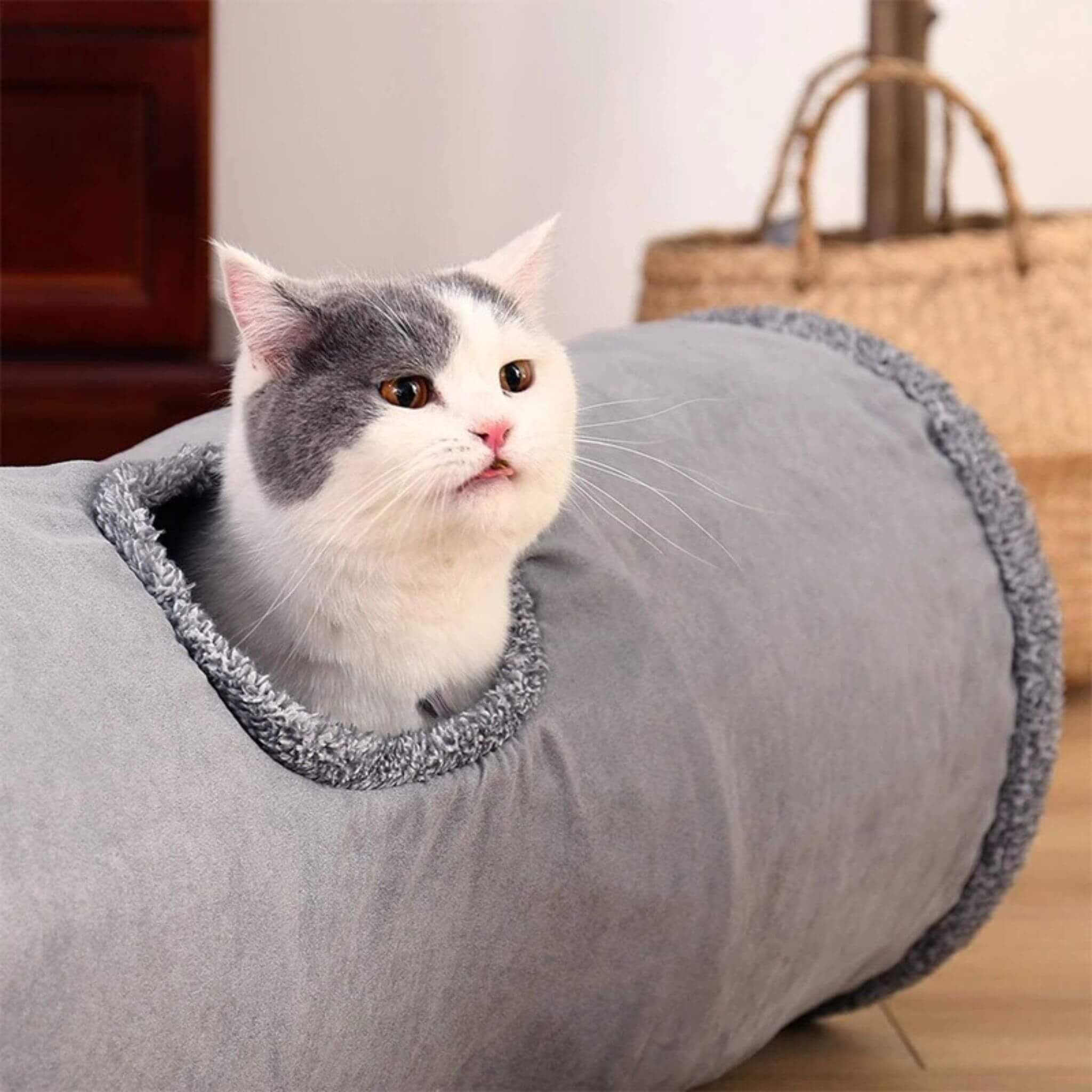 tunnel chat | La Piste des Pattes