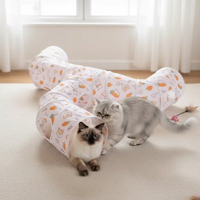 Tunnel Chaton | Escapade Ronronnante