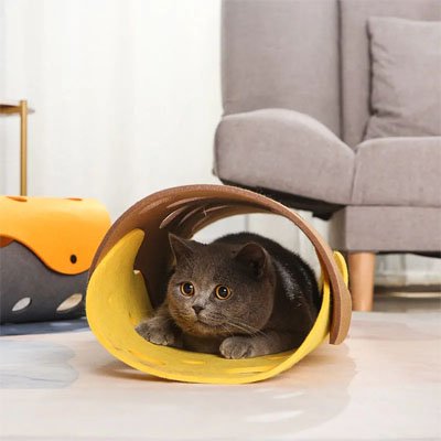 Tunnel Chaton | Furtif Tube