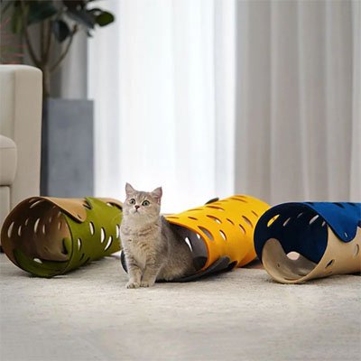Tunnel Chaton | Furtif Tube