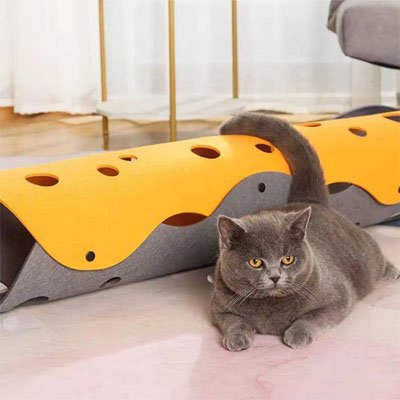 Tunnel Chaton | Furtif Tube