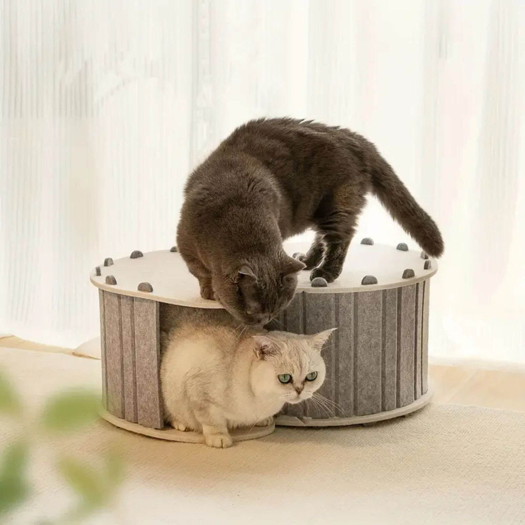 tunnel du chat 3-en-1