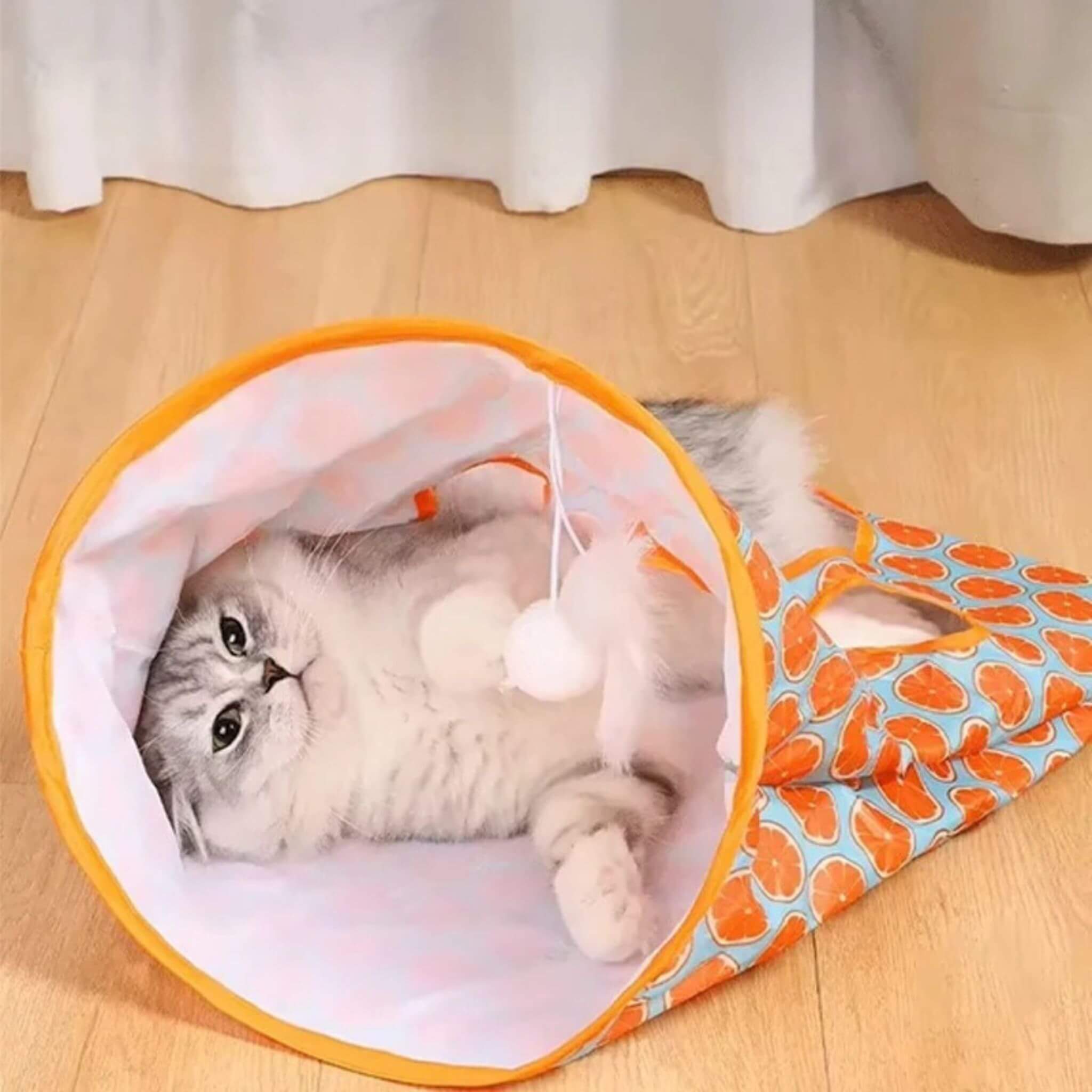 tunnel du chat sac