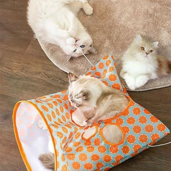 tunnel du chat sac