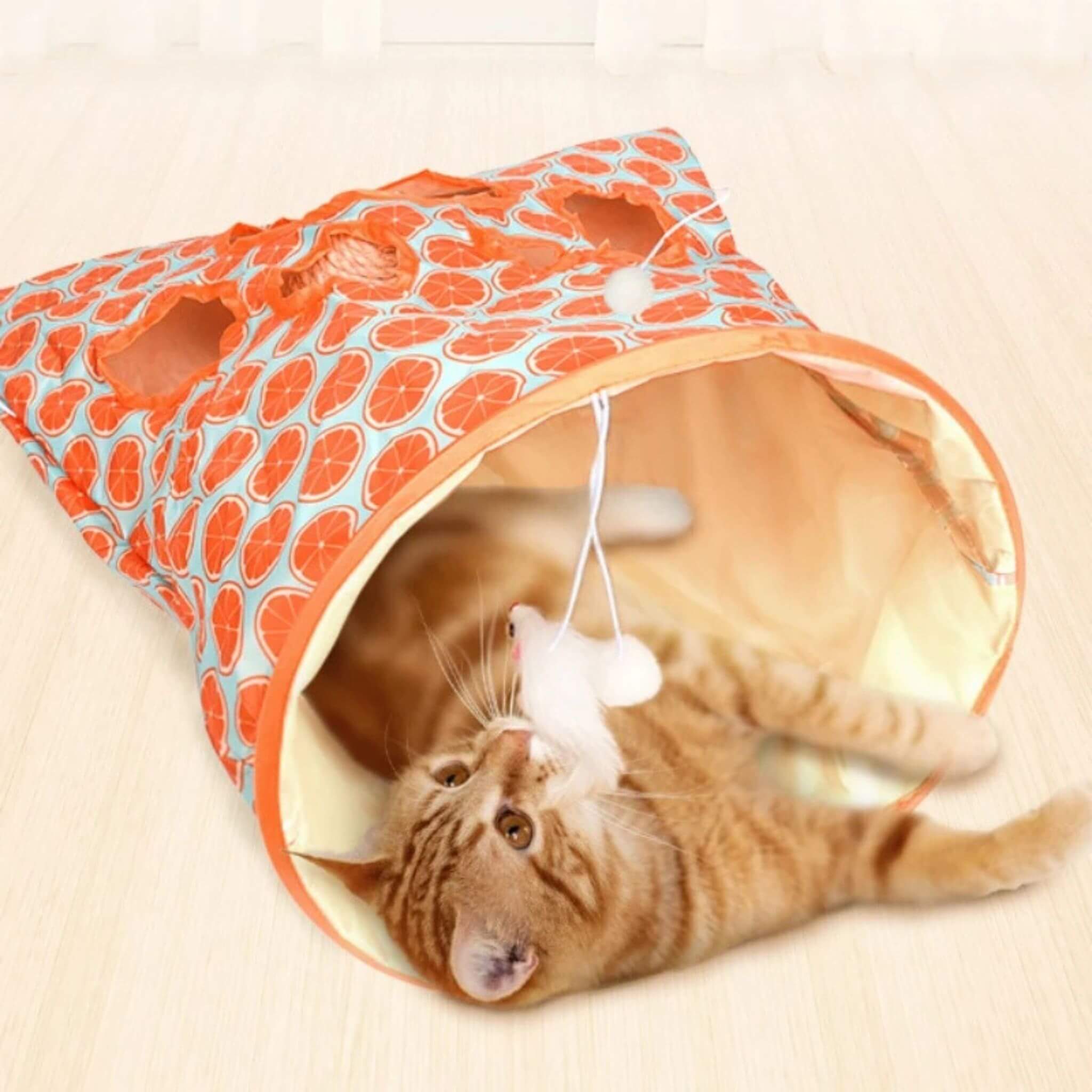 tunnel du chat sac