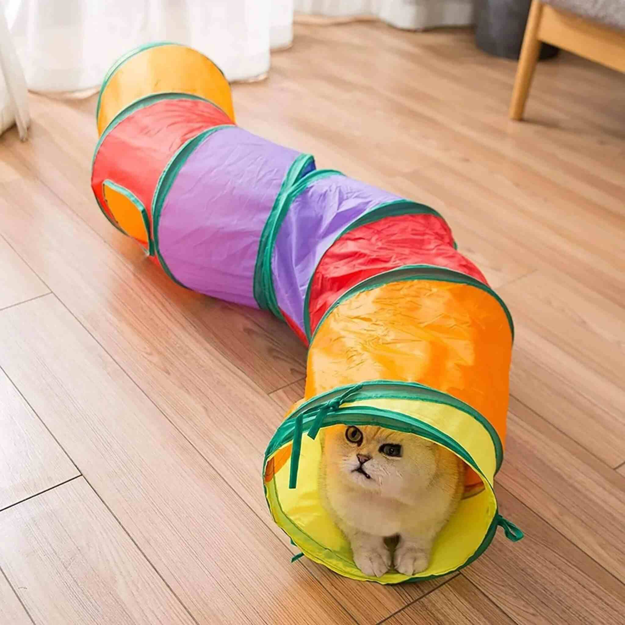 tunnel du chat| Tunnelland