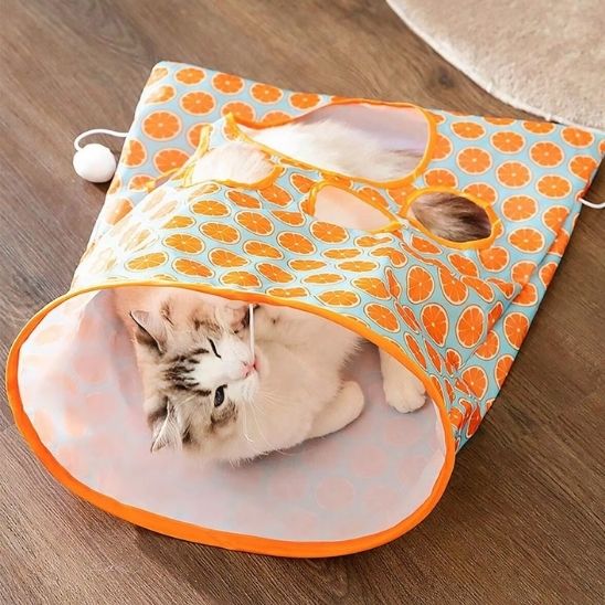 tunnel du chat sac