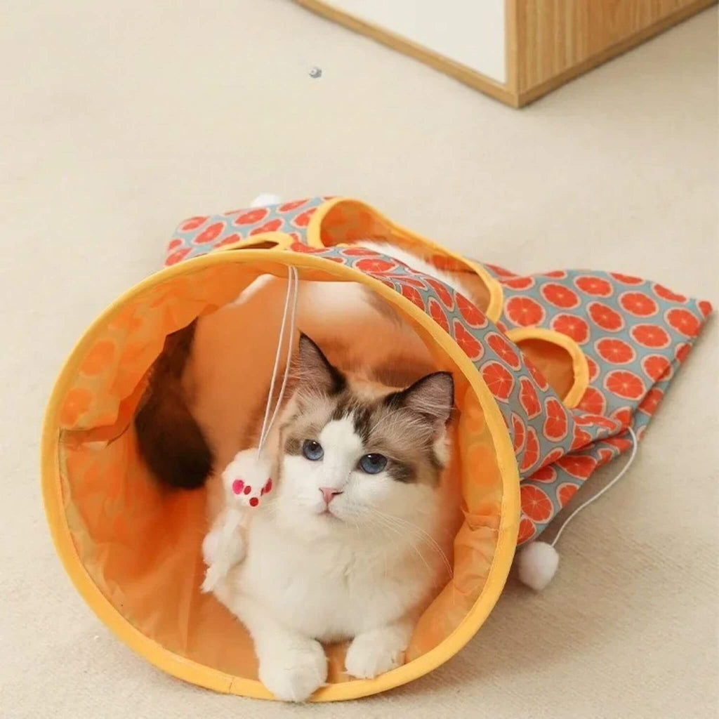 tunnel du chat sac