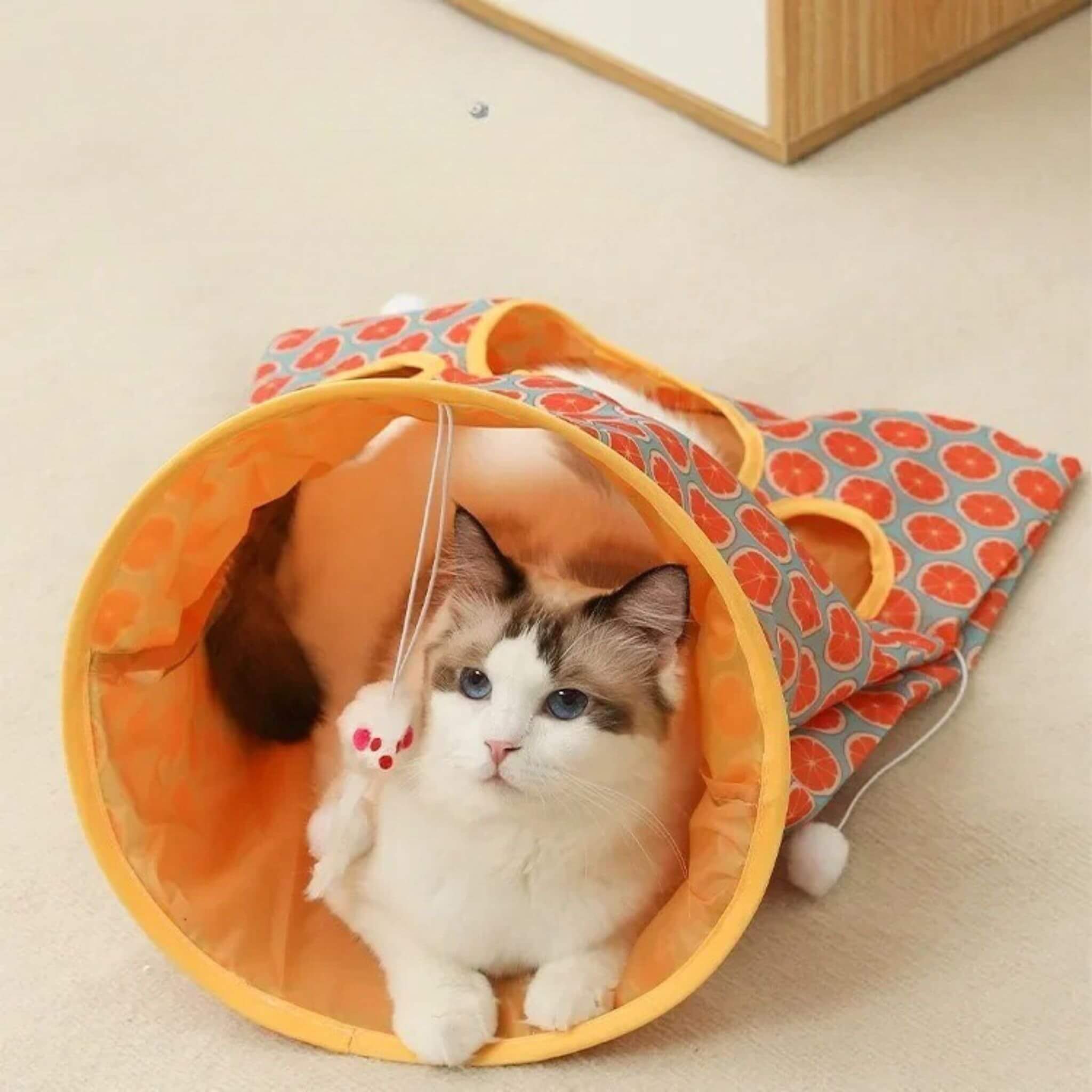 tunnel du chat sac