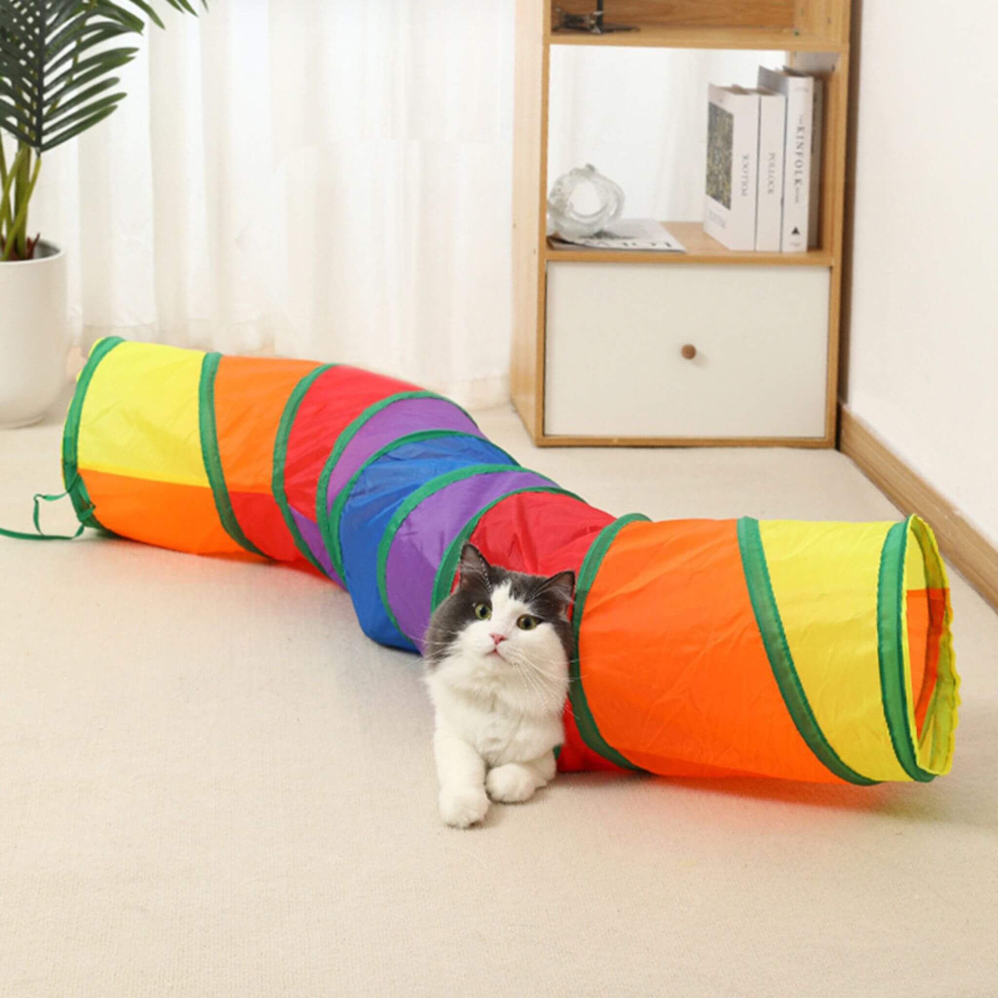 tunnel-du-chat-en-S-coloré