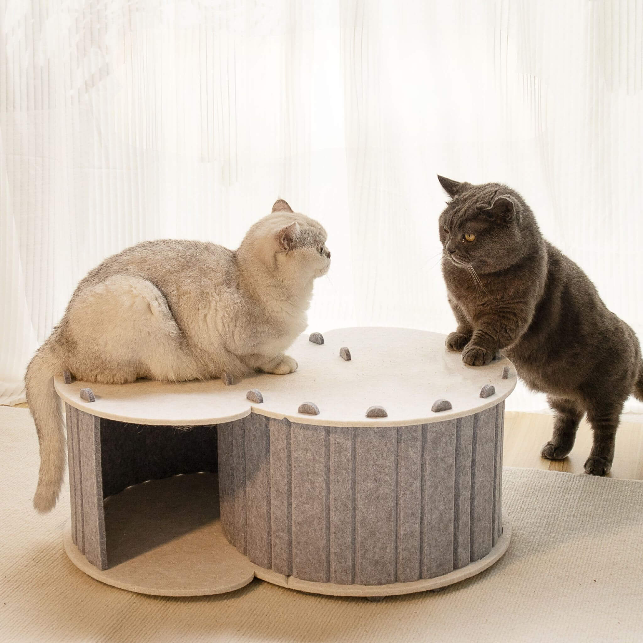 tunnel du chat 3-en-1