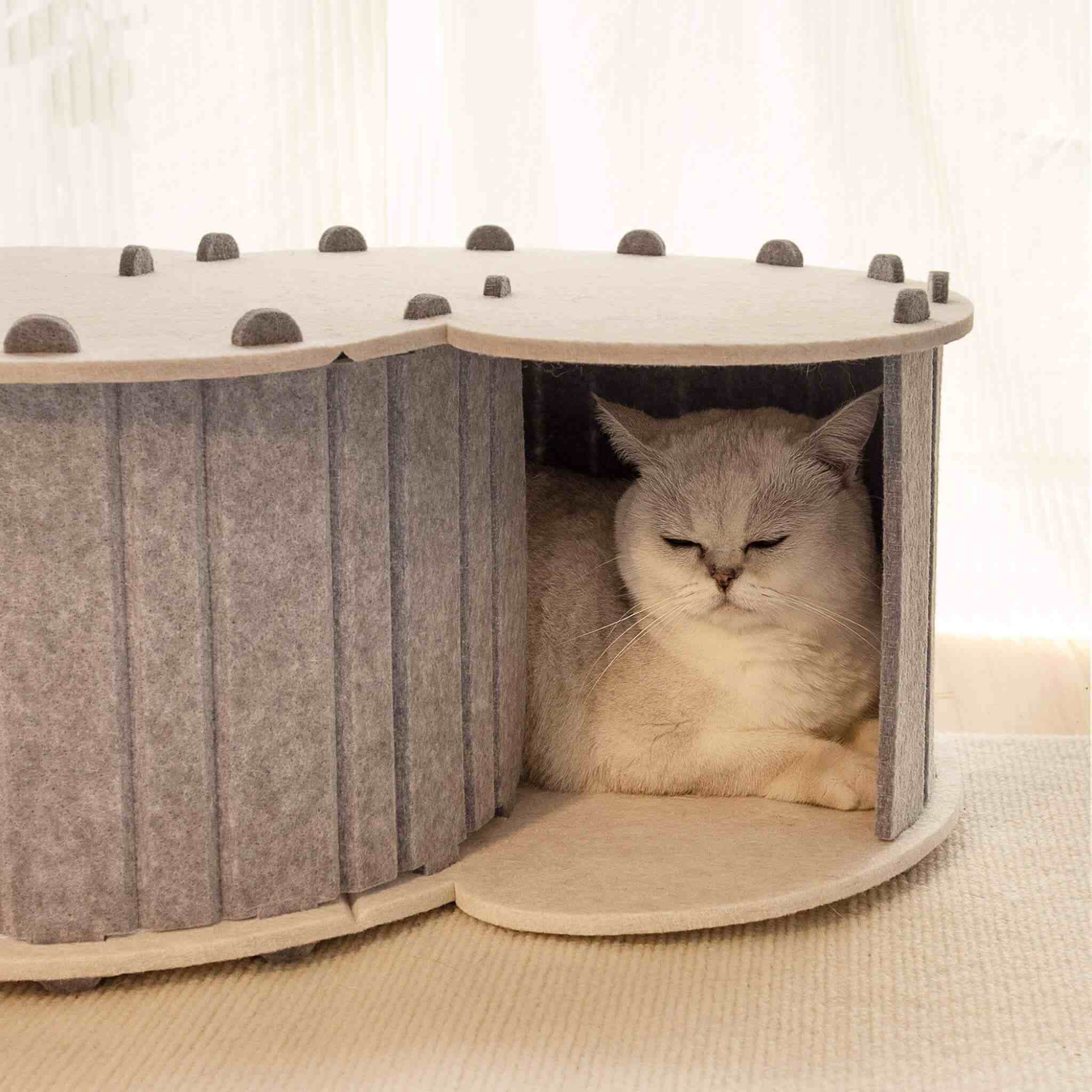 tunnel du chat 3-en-1