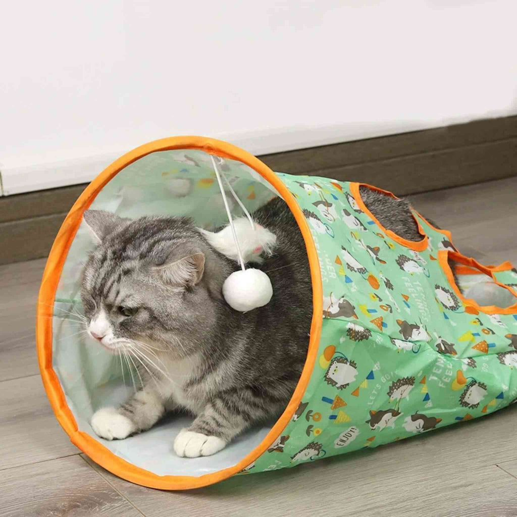 tunnel du chat sac