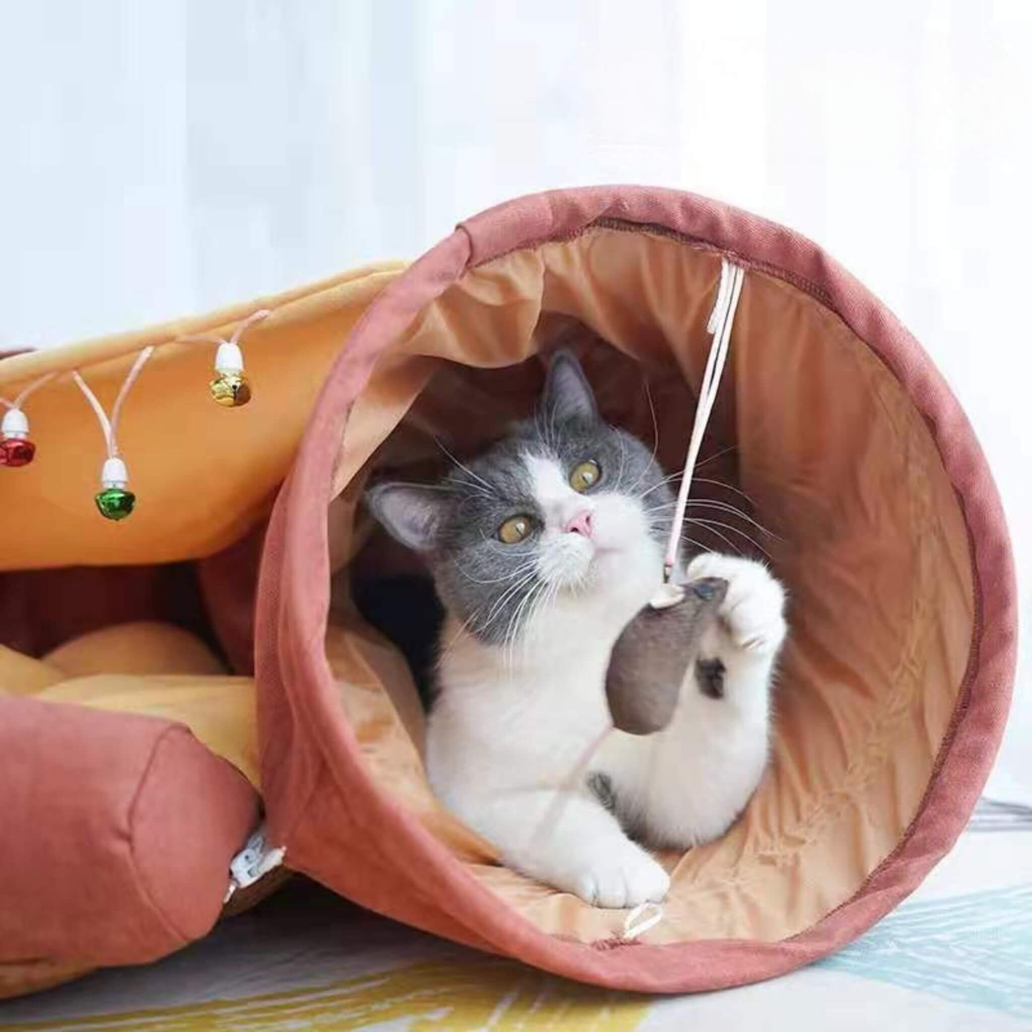 tunnel pour chat | Tunnel Parfait