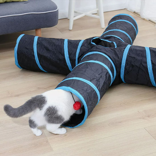 tunnel pour chat | Curieux Tunnel