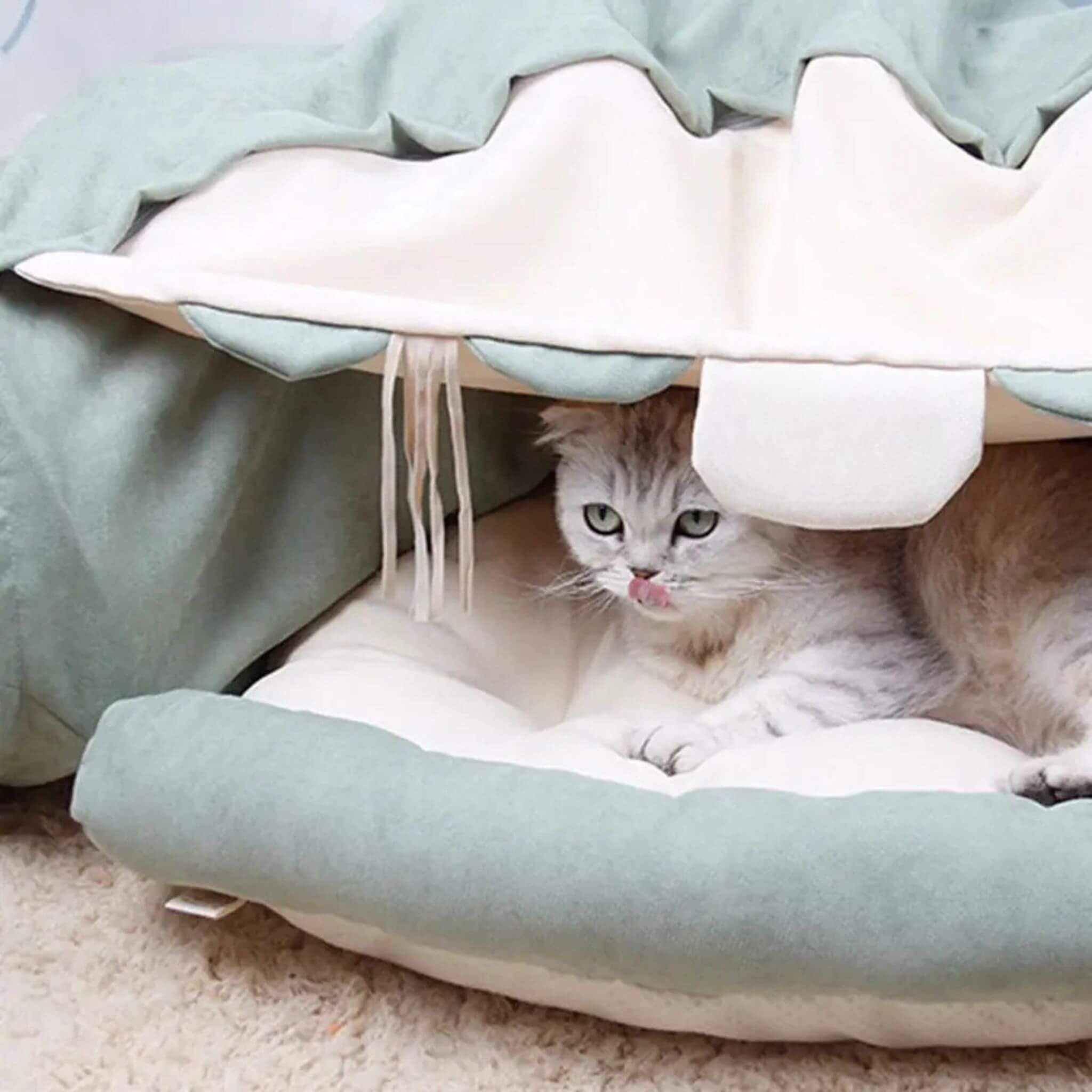 tunnel pour chat | Tunnel Parfait