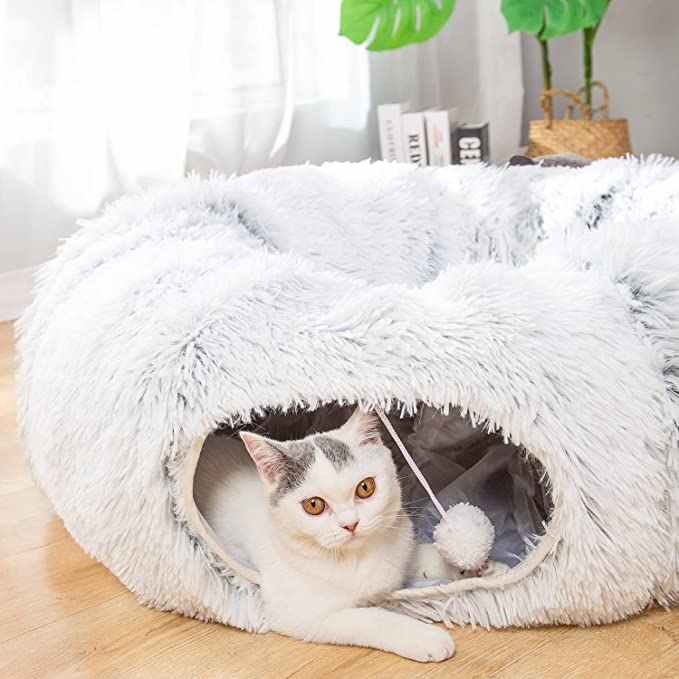 tunnel pour chat | DODOTUNNEL