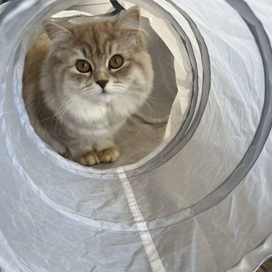 tunnel pour chat | Neko Passage