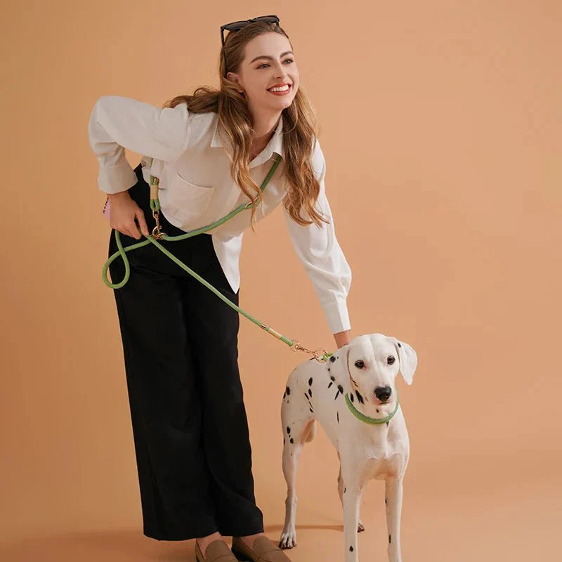Laisse Mains Libres Multi Fonctions Pour Chien