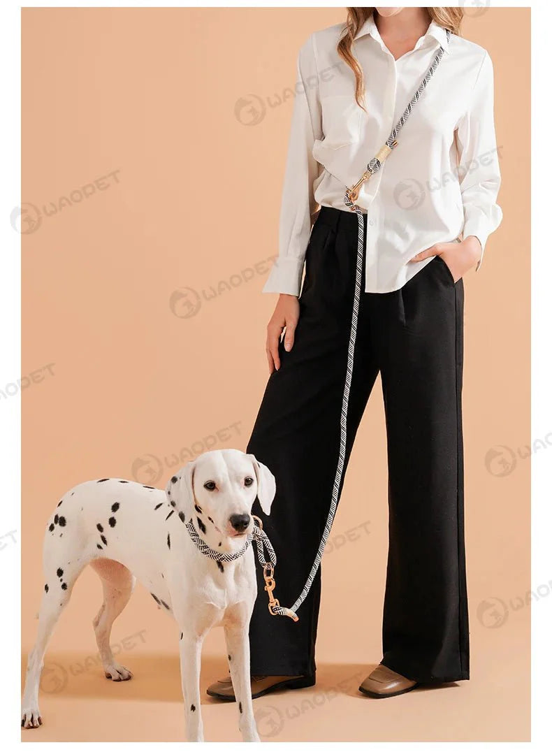 Laisse Mains Libres Multi Fonctions Pour Chien