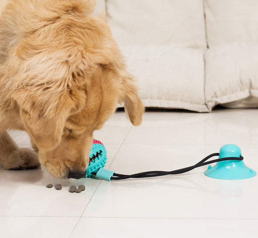 La balle pour chien anti-stress | BouncePup™