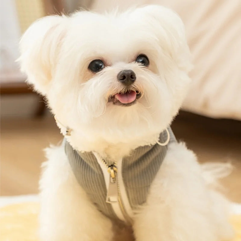 Manteau En Velours Côtelé Pour Petit Chien