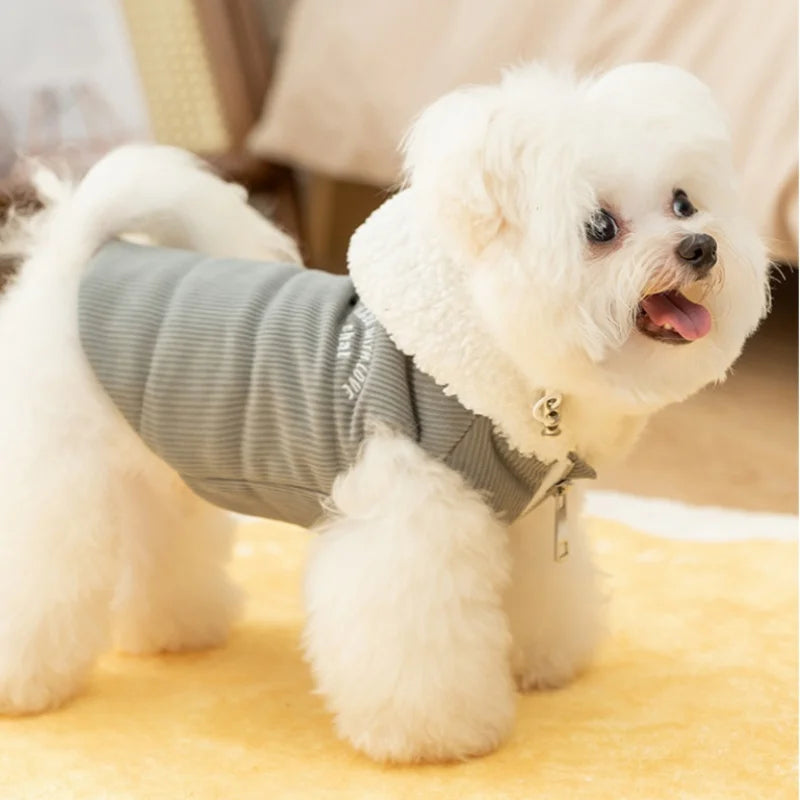 Manteau En Velours Côtelé Pour Petit Chien