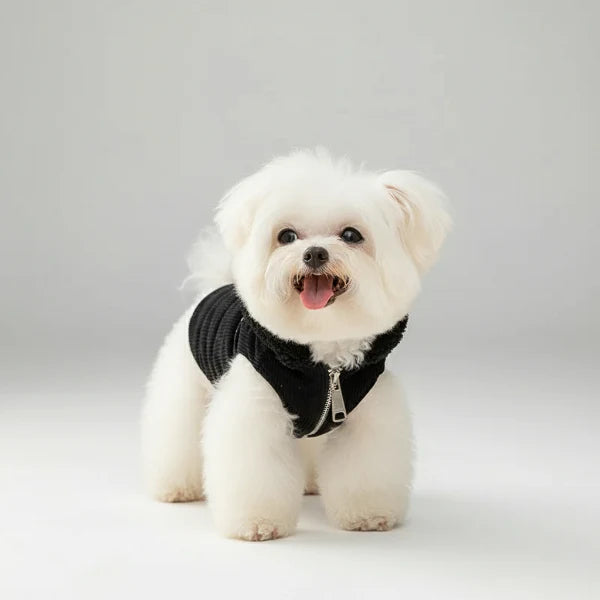 Manteau En Velours Côtelé Pour Petit Chien
