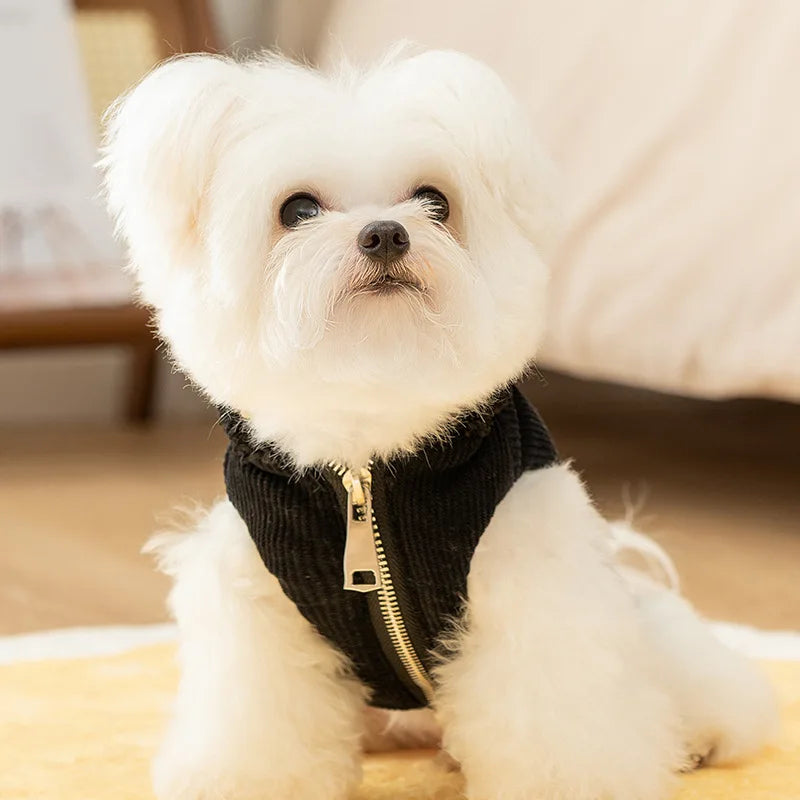 Manteau En Velours Côtelé Pour Petit Chien