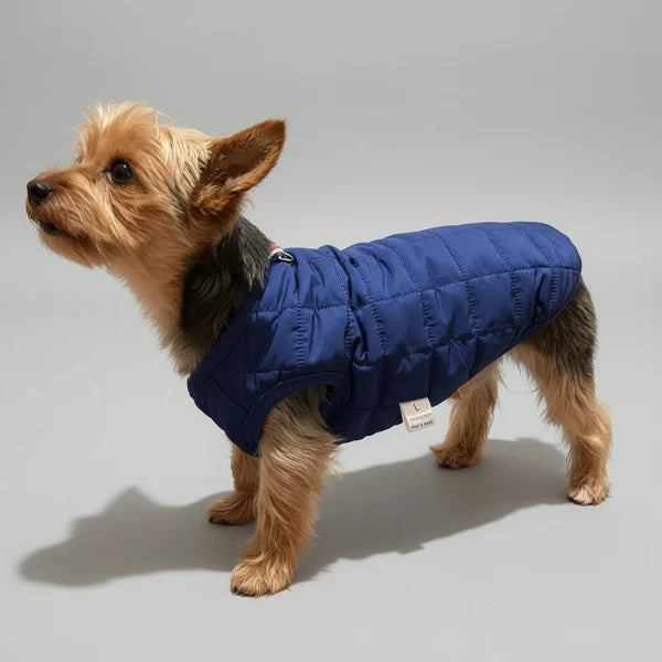 Veste d'hiver en coton pour chien - Les Bonnes Affaires
