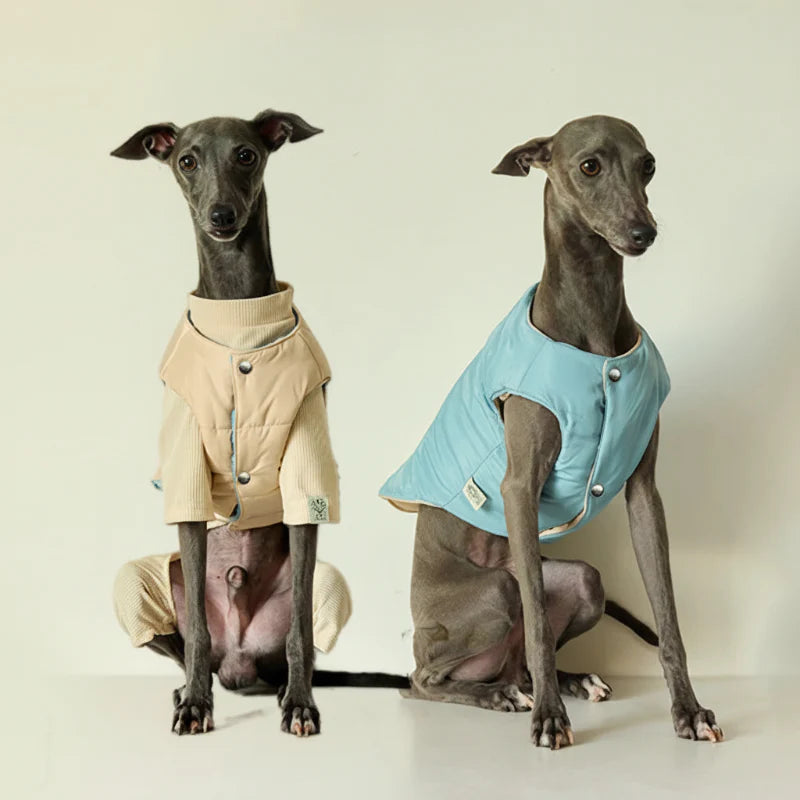 Veste Chaude Pour Chien Lévrier Et Whippet