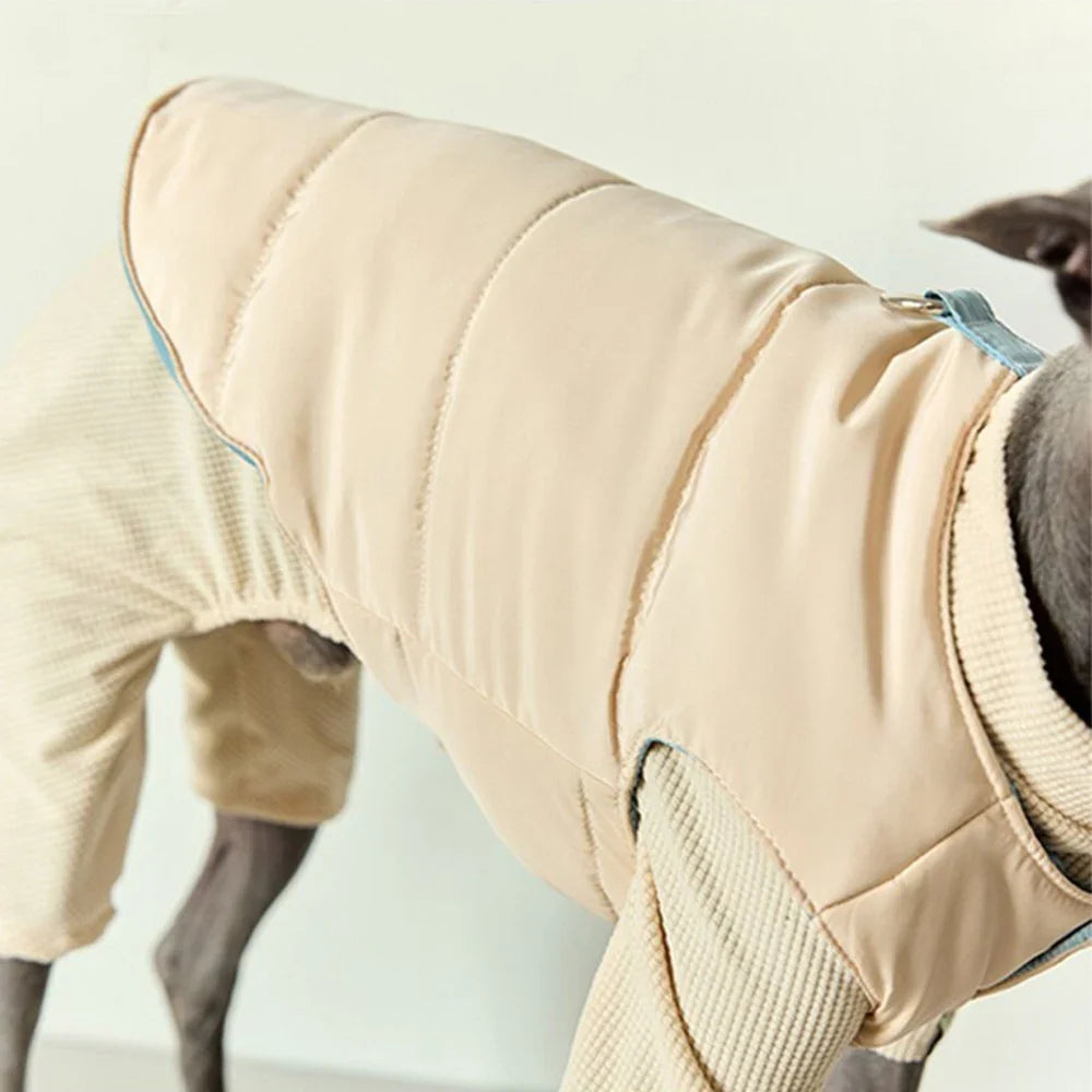 Veste Chaude Pour Chien Lévrier Et Whippet