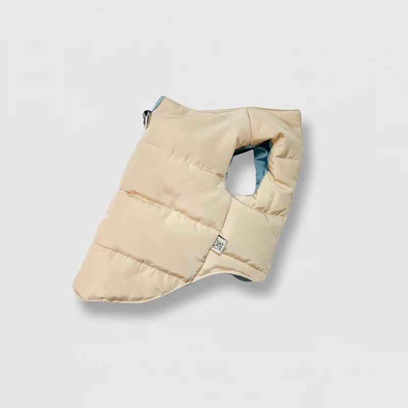 Veste chaude pour lévrier en beige avec doublure bleue pour un confort optimal