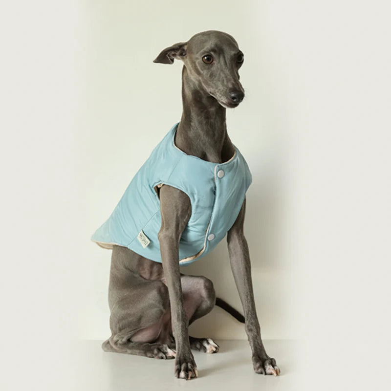 Veste Chaude Pour Chien Lévrier Et Whippet