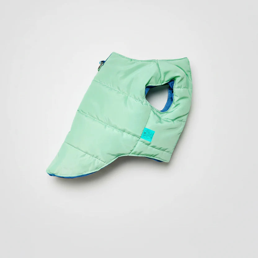 Veste chaude pour lévrier en vert pastel avec col haut et ouverture pour la laisse.