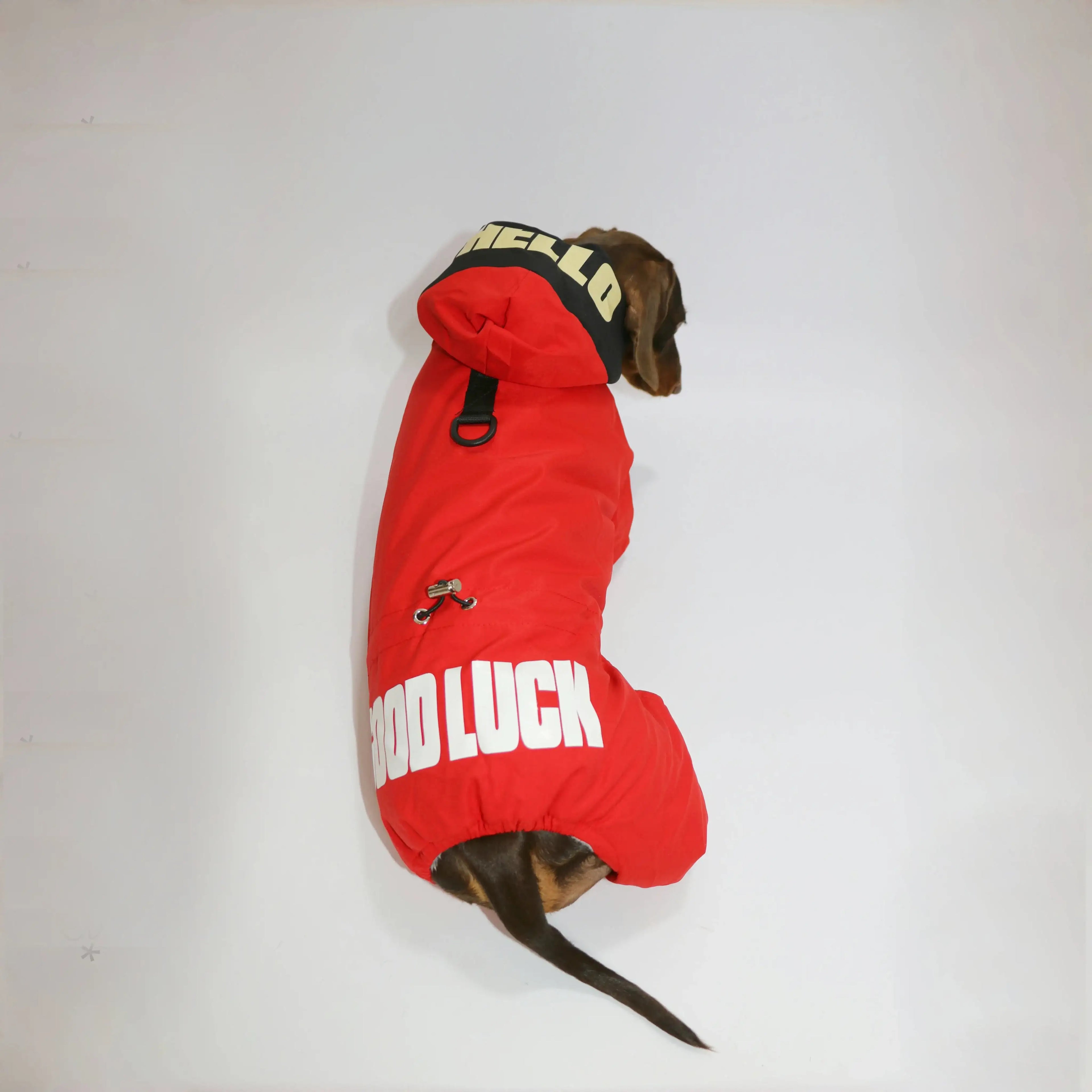 Veste Coupe-Vent Confortable Pour Teckel