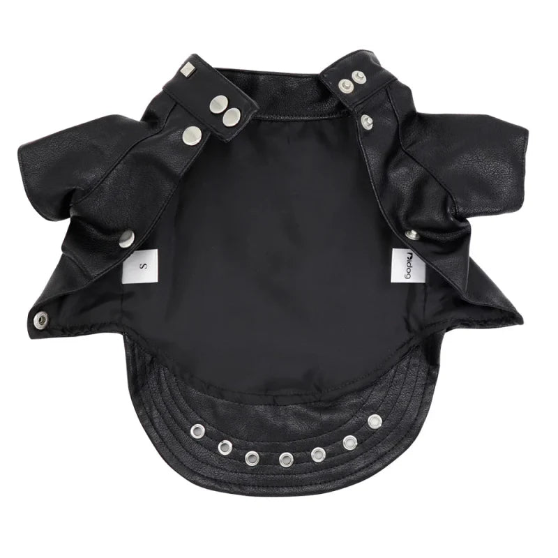 Veste en Cuir pour Chat