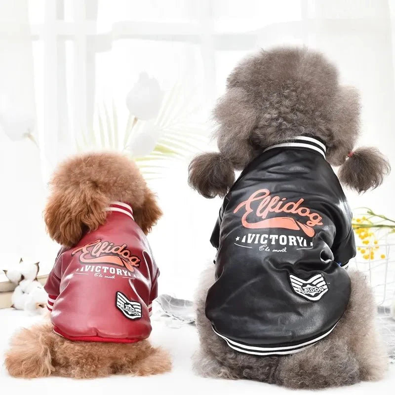 Veste en Cuir pour Chien