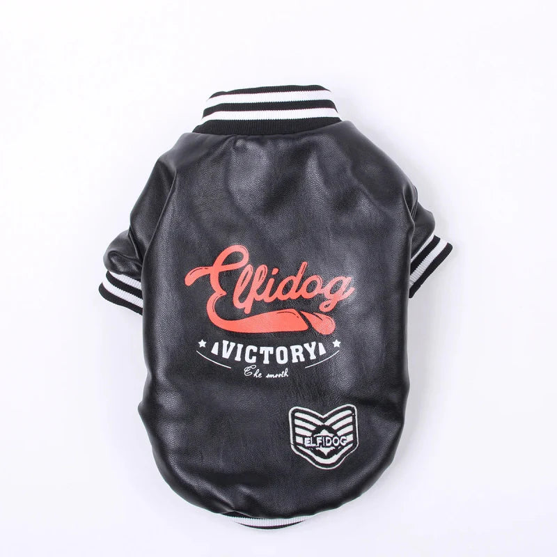 Veste en Cuir pour Chien