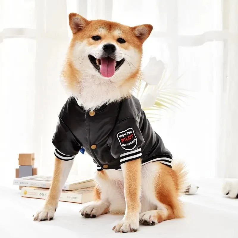 Veste en Cuir pour Chien