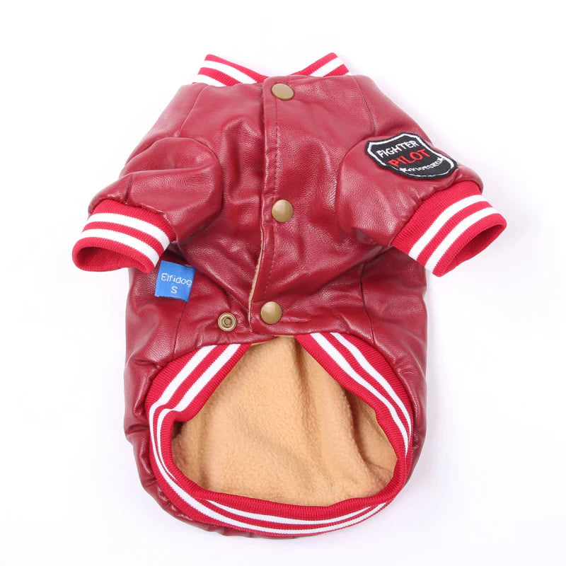 Veste en Cuir pour Chien