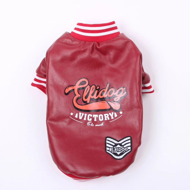 Veste en Cuir pour Chien