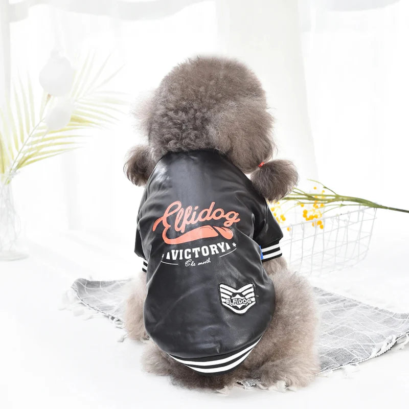 Veste en Cuir pour Chien