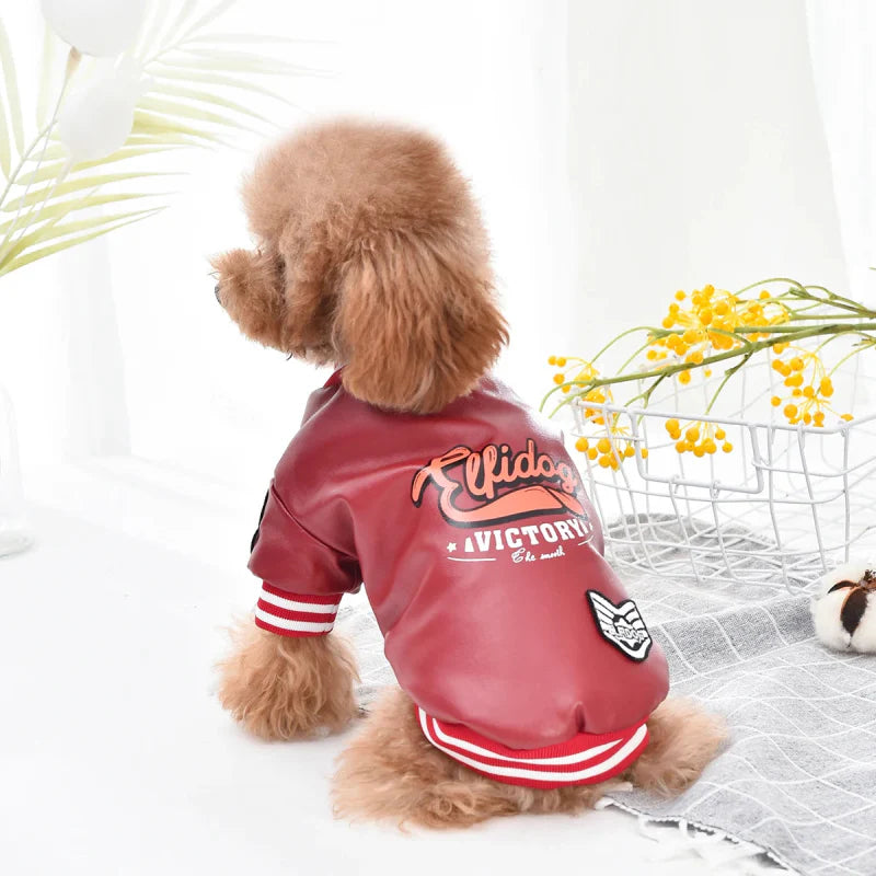 Veste en Cuir pour Chien