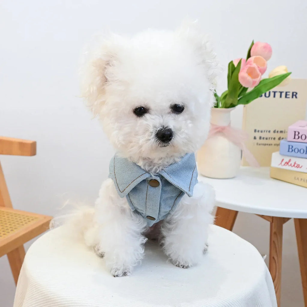 Veste En Jean Avec Fleurs Brodées Pour Chien