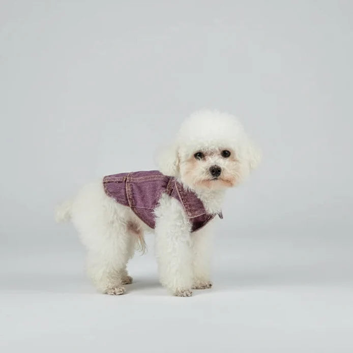 Veste En Jean Confortable Pour Chien