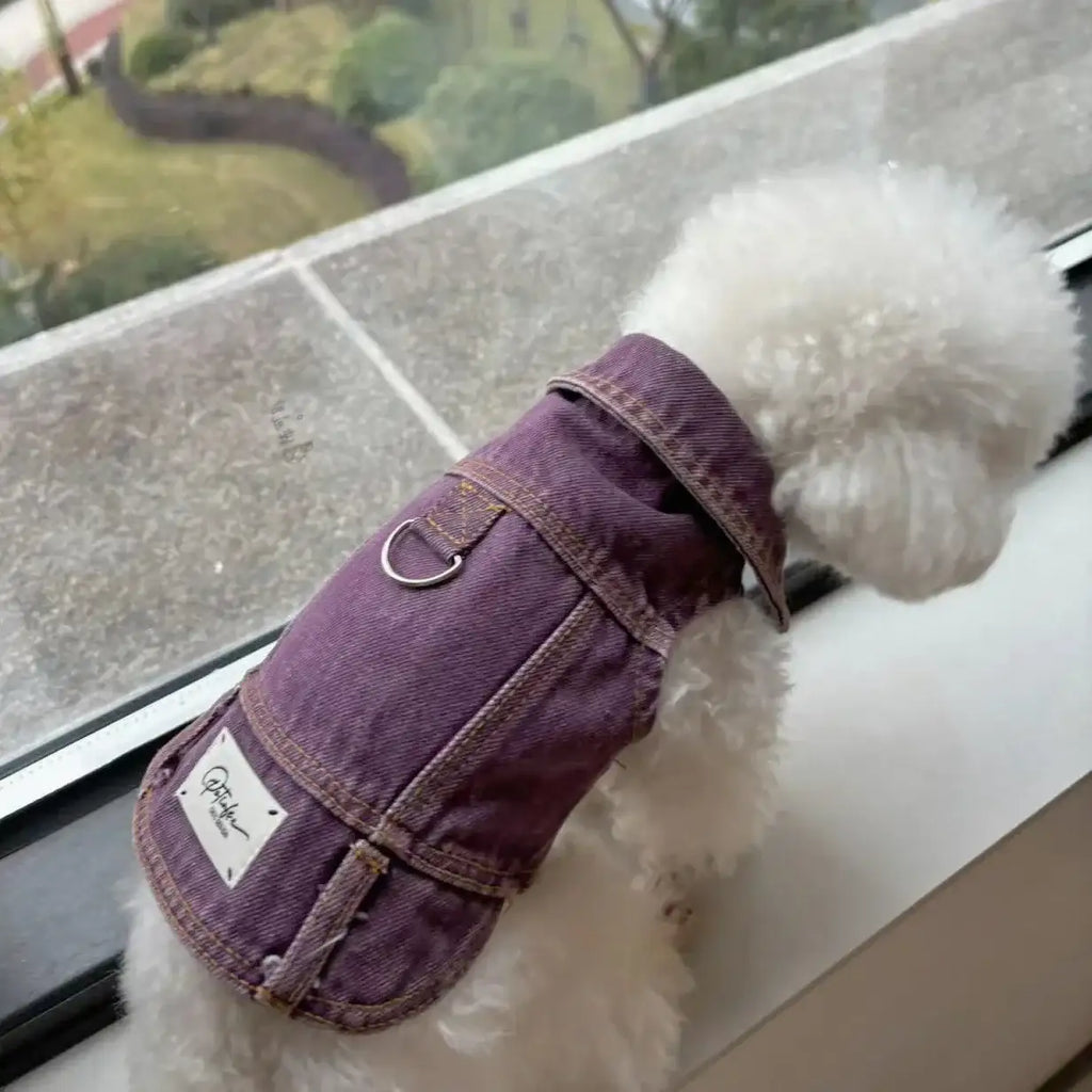 Veste En Jean Confortable Pour Chien