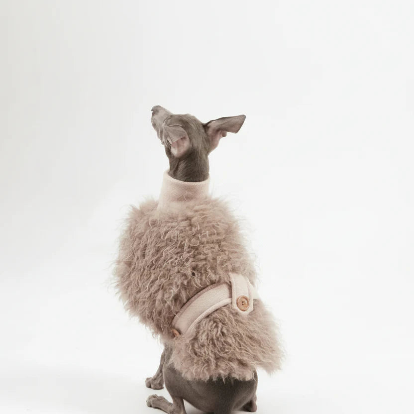 Veste Fausse Fourrure Pour Lévrier Whippet - Les Bonnes Affaires