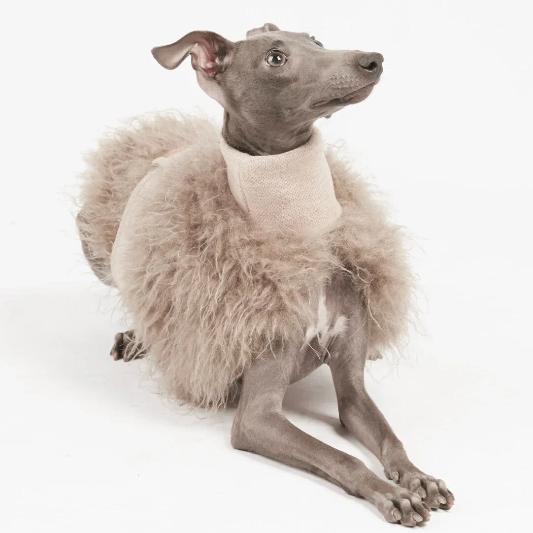 Veste Fausse Fourrure Pour Lévrier Whippet - Les Bonnes Affaires